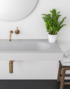 a bathroom sink with a potted plant next to it and a mirror on the wall