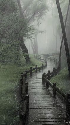 a wooden walkway in the rain with trees and grass