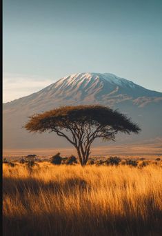 Physical features of Africa Mount Kilimanjaro Painting, Savana Landscape, Africa Safari Aesthetic, Africa Travel Aesthetic, Tanzania Aesthetic, Voyage Aesthetic, Tanzania Kilimanjaro, Aesthetic Africa