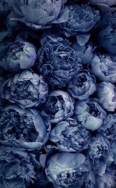 a bunch of flowers that are in the middle of some kind of blue flower arrangement