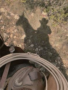 the shadow of a cowboy's hat and lasso is cast on top of a rope