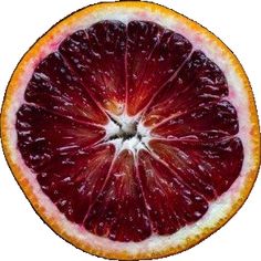 a grapefruit cut in half on a white background