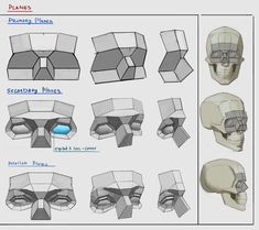 an image of different shapes and sizes of the human head in various positions, including one with