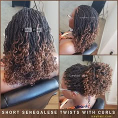 Curly Senegalese Twist Hairstyles, Crochet Box Braids With Curly Ends, Ombre Twists Senegalese, Twist With Curly Ends, Senegalese With Curly Ends, Senegalese Twists With Curls, Senegalese Twist With Curly Ends, Curly Senegalese Twist, Twists With Curly Ends