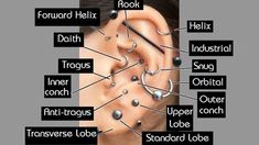 an ear with different types of piercings labeled in the words below it, including names and pictures