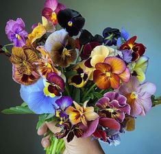 a hand holding a bouquet of flowers with purple, yellow and red flowers in it