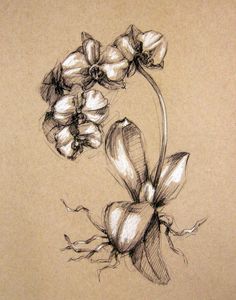 a drawing of some flowers on a piece of paper