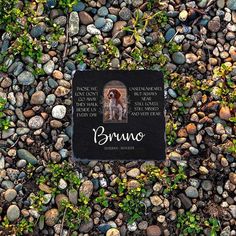 there is a plaque on the ground that says brunio with a photo of a dog