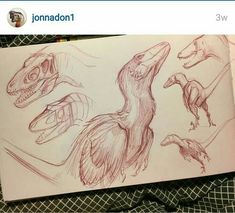 a drawing of dinosaurs with their mouths open