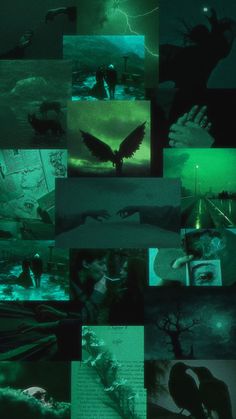 a collage of images with people and birds in the middle one has green light