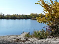 there is a dock on the water near some bushes and trees with yellow leaves in the foreground