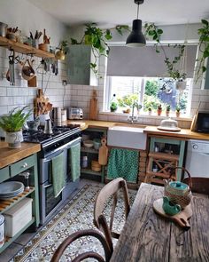 a kitchen with lots of plants in the window and on the wall above the stove