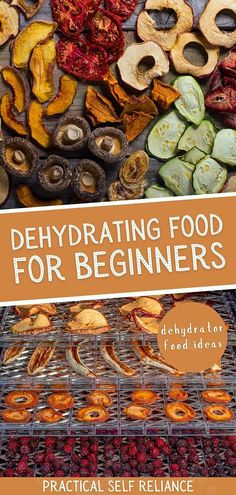 the cover of an article about dehydrating food for beginners, including dried fruits and vegetables