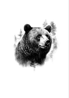 a black and white drawing of a bear