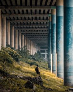 a person standing under an overpass in the middle of a grass covered field with columns