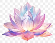 a pink and blue lotus flower on a white background, with transparent leaves in the center