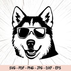 a husky dog wearing sunglasses on top of a wooden plank with the words svg png