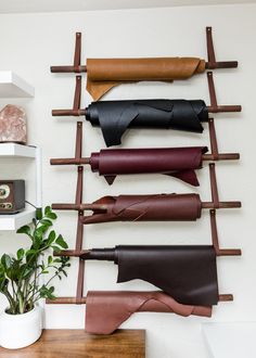 a wall mounted shelf with leathers on it and a potted plant next to it