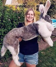 a woman holding a stuffed rabbit in her arms