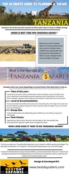 the ultimate guide to planning an african safari info sheet for your next trip in africa