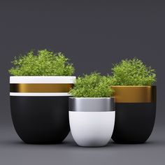 three black, white and gold planters with plants growing out of the top one