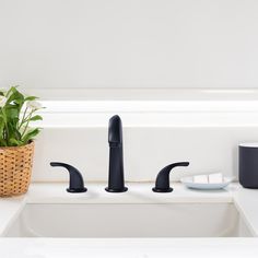 two black faucets sitting next to each other on a white counter top near a potted plant