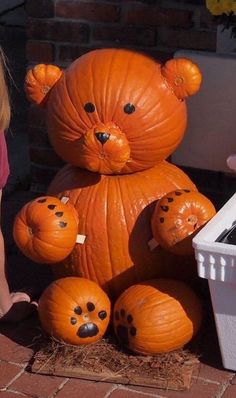 Teddy Bear Pumpkin, Cute Painted Pumpkin Ideas, Bear Pumpkin, Halloween Pumpkin Crafts, Cute Pumpkin Carving, Halloween Pumpkin Carving Stencils