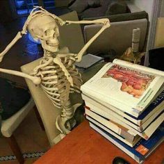 a skeleton sitting on top of a stack of books in front of a couch with a cat