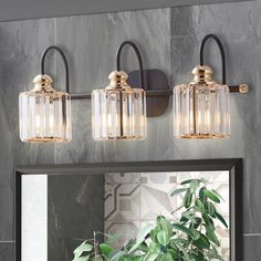 a bathroom vanity with three lights and a mirror on the wall next to a potted plant