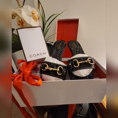 New Adorable Coach Sandals! Size 7.5 Elegant Black Synthetic Slides, Chic Coach Sandals With Branded Heel Counter, Chic Coach Sandals With Removable Insole, Chic Coach Sandals, Designer Coach Sandals, Chic Coach Flat Heel Sandals, Chic Black Flat Slides, Chic Coach Sandals With Cushioned Footbed, Chic Black Slides For Evening