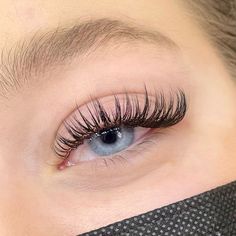 Long Full Classic Eyelash Extensions, Spiky Classic Lash Extensions, Squirrel Eye Lash Extensions, Classic Lash Cat Eye, Classic And Hybrid Lash Extensions, Cat Eye Wet Look Lash Extensions, Eyelash Extensions Blue Eyes, Light Volume Lash Extensions Cat Eye Wispy, Natural Cat Eye Eyelash Extensions