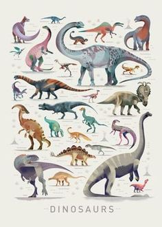 a poster with different types of dinosaurs on the front and back of it's frame