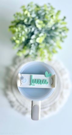 a cake topper with the word luna on it sitting next to a potted plant