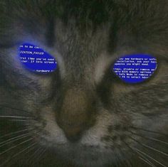 a close up of a cat's face with two blue circles on its eyes