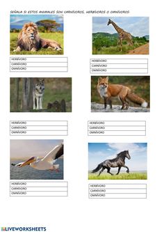 animals and birds are shown in this worksheet