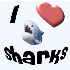 i love sharks with a shark in the middle and a heart at the bottom that says i love sharks