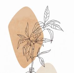 a drawing of a plant in a vase