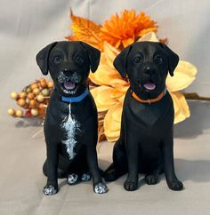 two black dogs sitting next to each other