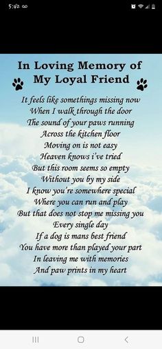 the poem in loving memory of my royal friend is shown above clouds and blue sky