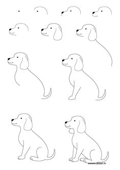 some drawings of dogs sitting and standing in the same direction, one is black and white