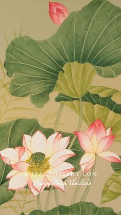 Asian Style Lotus Flower Painting Lotus Flower Paintings