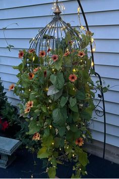 a birdcage filled with lots of flowers and lights