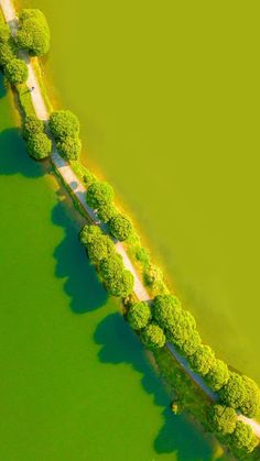 an aerial view of a river with trees on both sides and a road in the middle