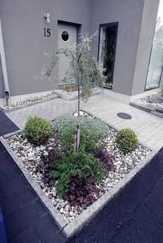 a small tree sitting in the middle of a garden area next to a gray building