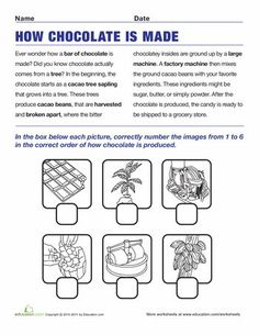 the chocolate is made worksheet for students to learn how to make chocolates