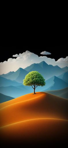 a lone tree in the middle of a desert