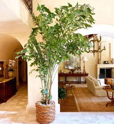 a living room filled with furniture and a potted plant in front of a fireplace