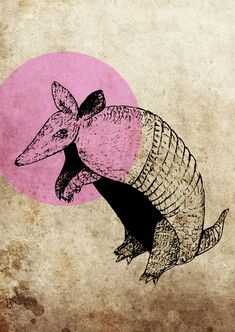 an armadile with a pink circle in the background