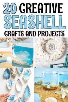 20 creative seashell crafts and projects