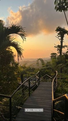 a wooden walkway leading to the top of a hill with palm trees in the background